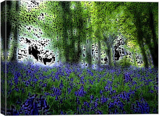 Bluebell Wood Canvas Print by Anthony Palmer-Greene