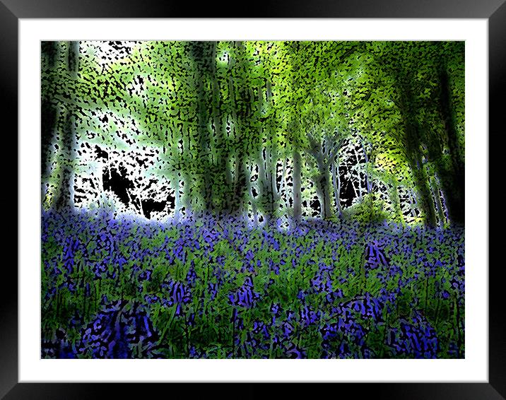 Bluebell Wood Framed Mounted Print by Anthony Palmer-Greene