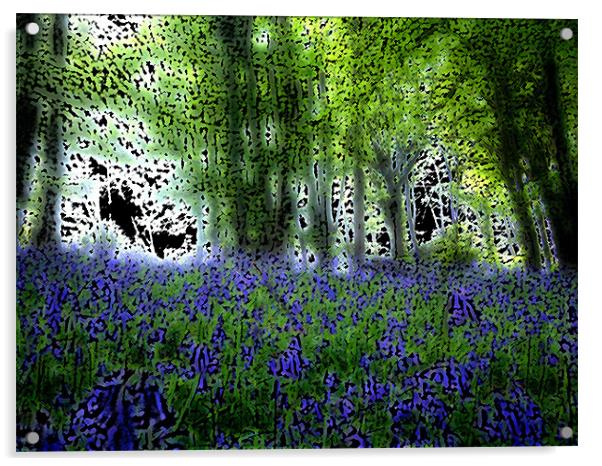 Bluebell Wood Acrylic by Anthony Palmer-Greene