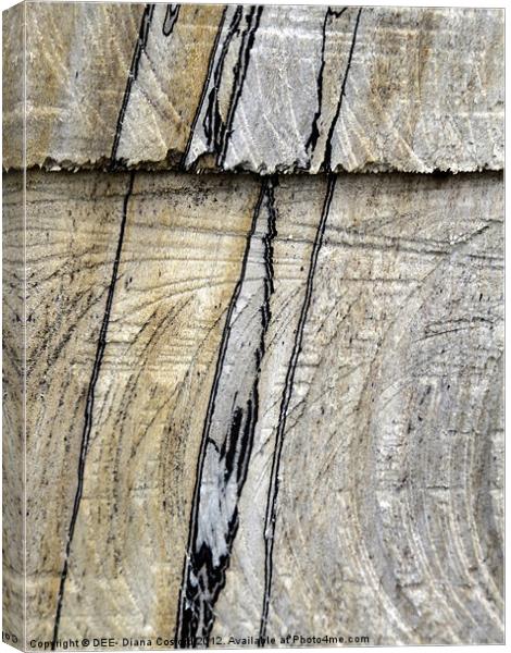 NATURAL lines in tree trunk Canvas Print by DEE- Diana Cosford