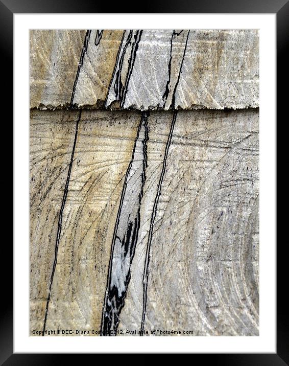 NATURAL lines in tree trunk Framed Mounted Print by DEE- Diana Cosford