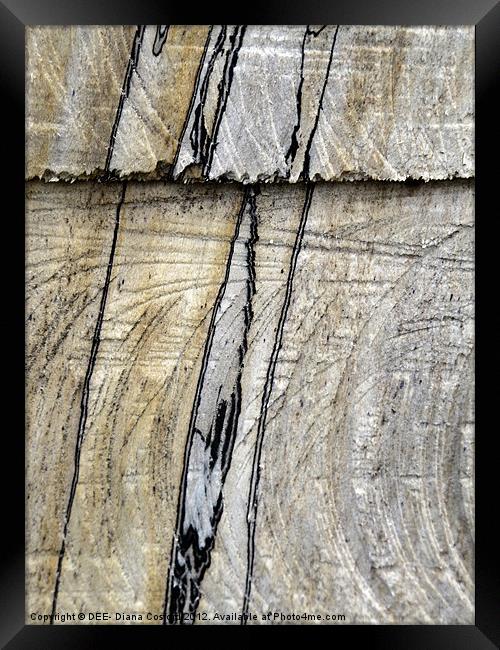 NATURAL lines in tree trunk Framed Print by DEE- Diana Cosford
