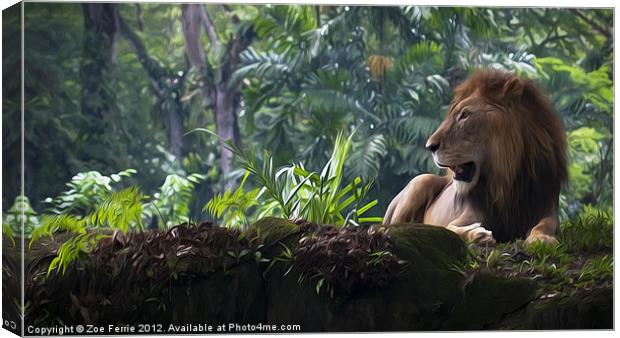 King of the Jungle Canvas Print by Zoe Ferrie