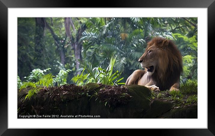 King of the Jungle Framed Mounted Print by Zoe Ferrie