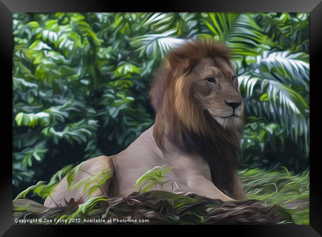 King of the Jungle II Framed Print by Zoe Ferrie