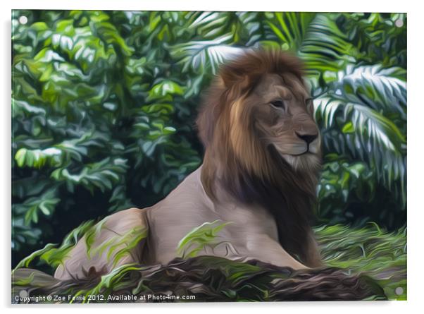 King of the Jungle II Acrylic by Zoe Ferrie