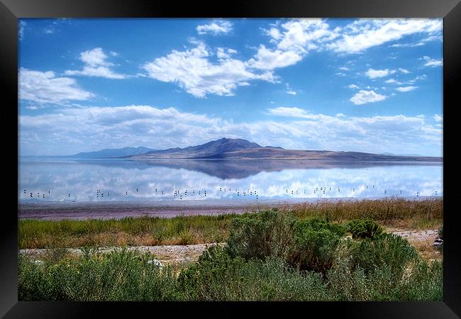 Great Salt Lake and Antelope Island Framed Print by World Images