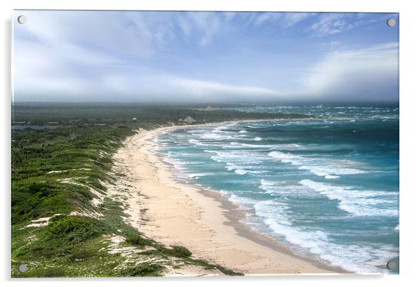 Cozumel Beach Acrylic by World Images