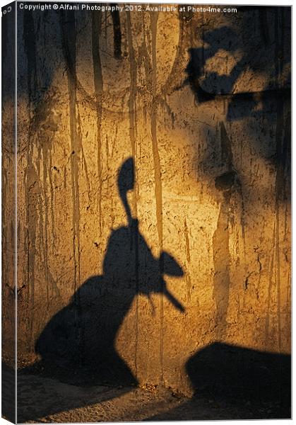 Shadow theatre Canvas Print by Alfani Photography
