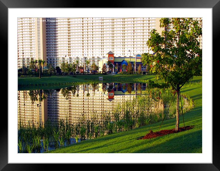 A place to hide Framed Mounted Print by Susan Medeiros