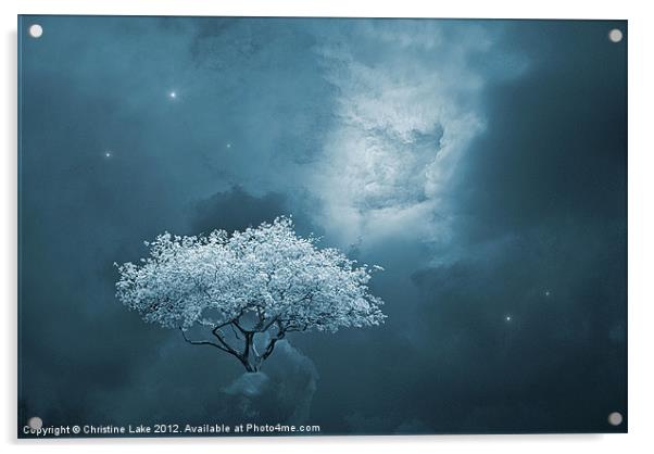 I Dream in Blue Acrylic by Christine Lake