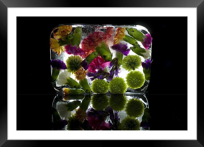 Frozen Flowers Framed Mounted Print by Josh Kemp-Smith