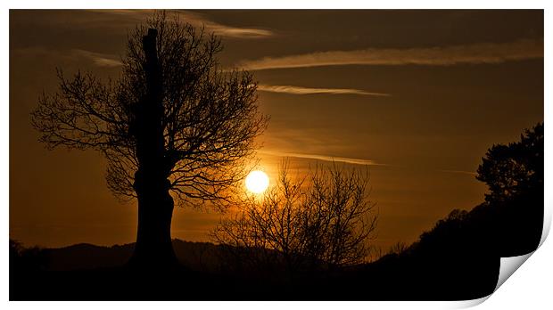 Silhouettes at Sunset Print by Mark Battista