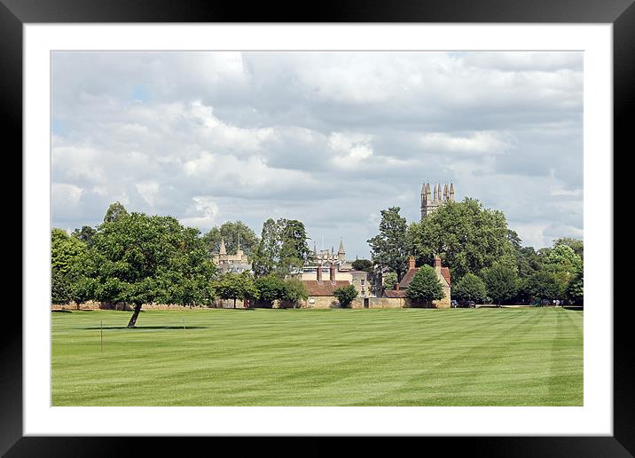 Merton Playing Fields Framed Mounted Print by Tony Murtagh