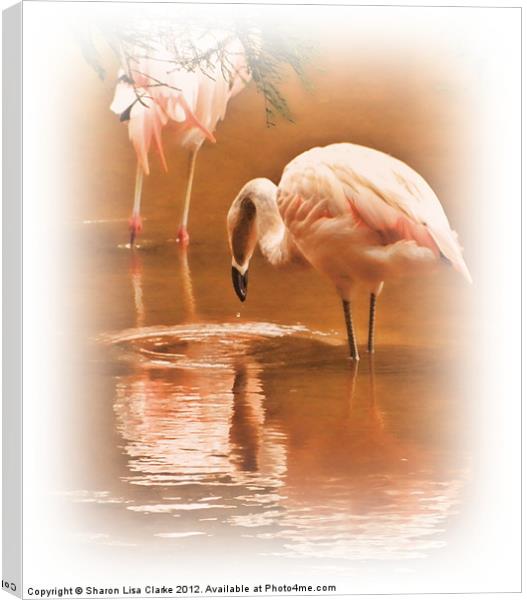 Painted Flamingos Canvas Print by Sharon Lisa Clarke