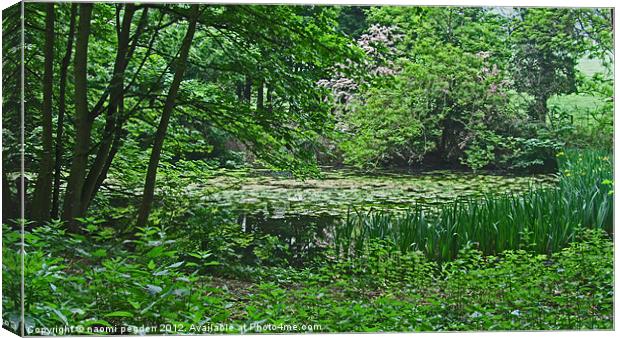 Hidden Pond Canvas Print by N C Photography