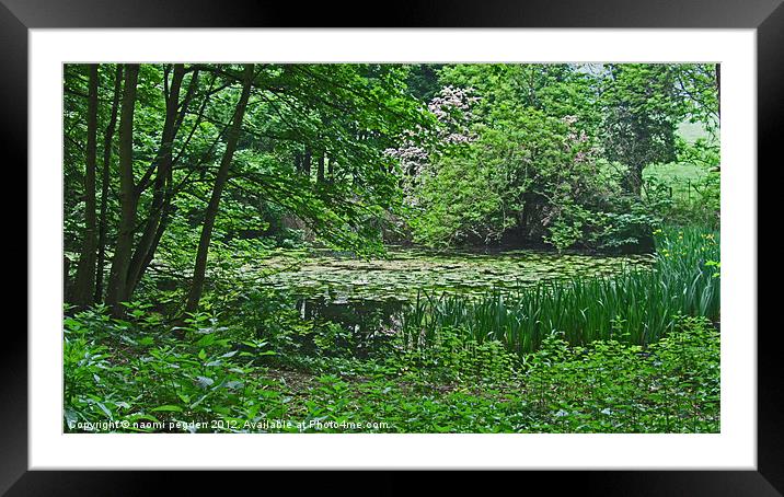 Hidden Pond Framed Mounted Print by N C Photography