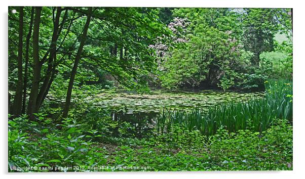 Hidden Pond Acrylic by N C Photography
