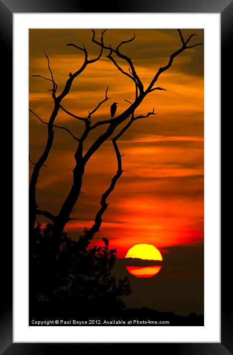Enjoying The Sunset Framed Mounted Print by Paul Boyce
