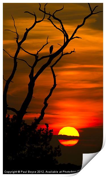 Enjoying The Sunset Print by Paul Boyce
