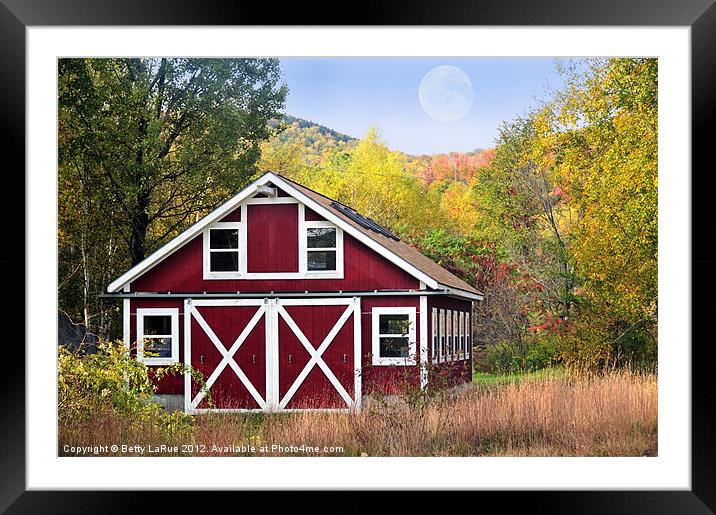Wearing Red Framed Mounted Print by Betty LaRue