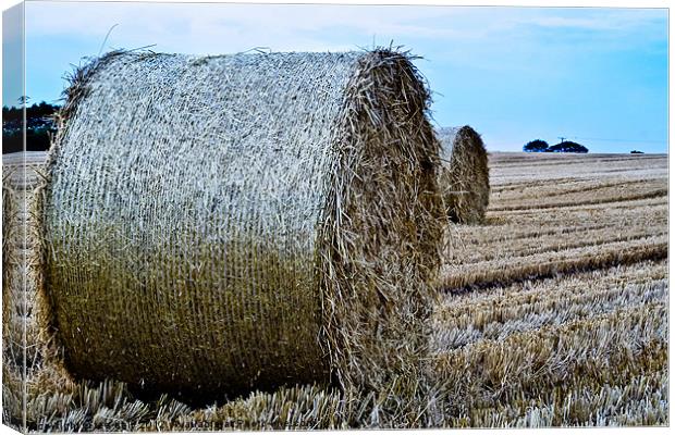 Straw Bail. Canvas Print by Lee Daly