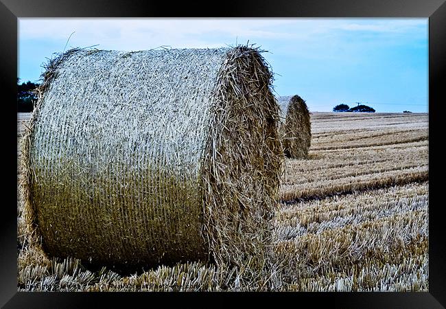 Straw Bail. Framed Print by Lee Daly