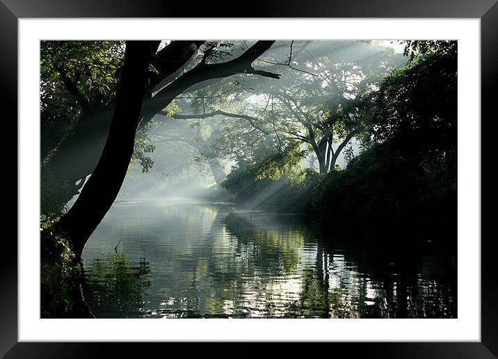 Morning light in Aleppey, India Framed Mounted Print by peter schickert