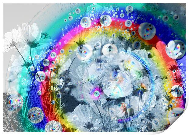 Flower Cd Abstract Print by Louise Godwin
