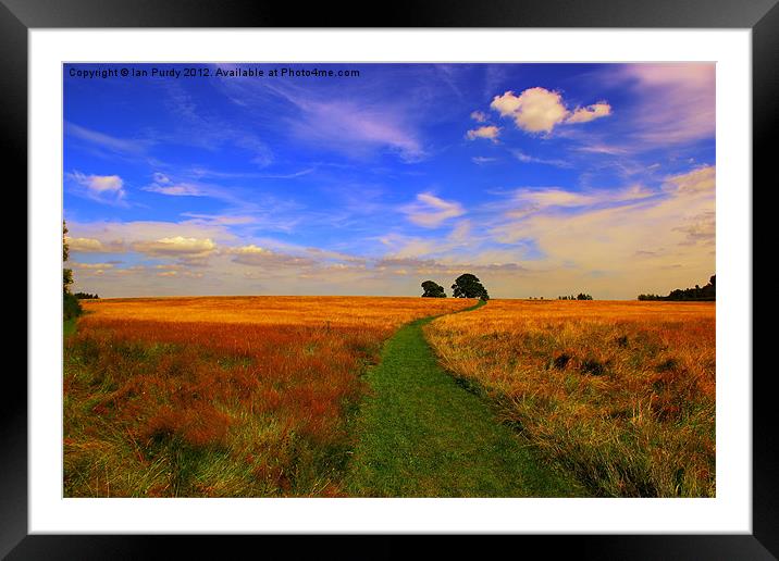 Grass path Framed Mounted Print by Ian Purdy
