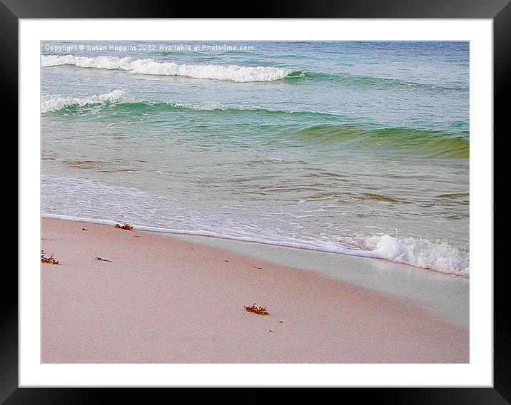 Red Tide Framed Mounted Print by Susan Medeiros