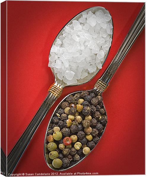 Spoonfuls of Salt and Pepper Canvas Print by Susan Candelario