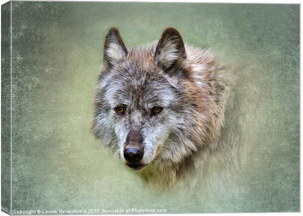 Grey wolf Canvas Print by Louise Heusinkveld