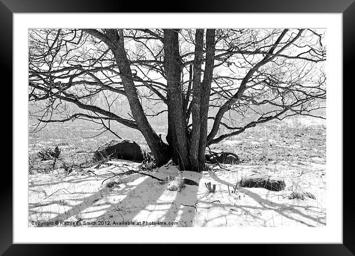 Tree in winter with shadow Framed Mounted Print by Kathleen Smith (kbhsphoto)