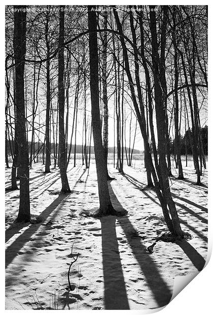 Trees in winter with shadows Print by Kathleen Smith (kbhsphoto)