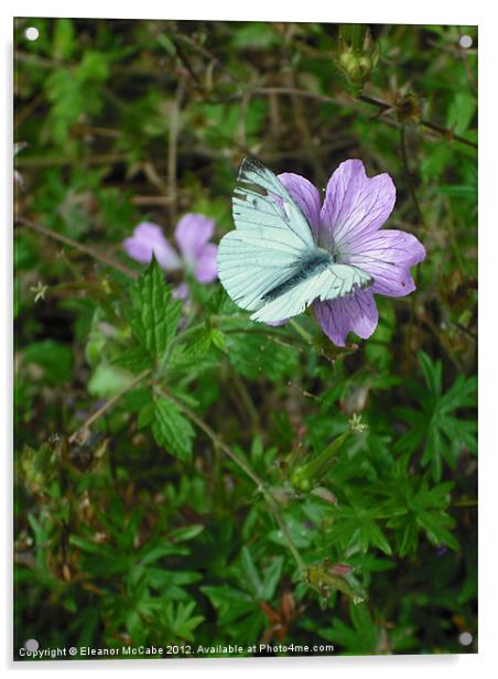 Delicate Summer! Acrylic by Eleanor McCabe