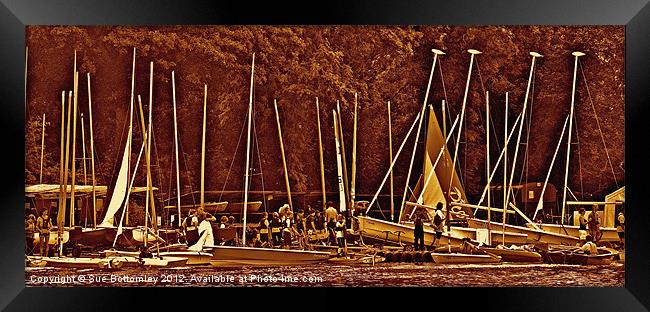 Traffic jam on the lake Framed Print by Sue Bottomley