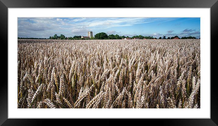 Field of wheat Framed Mounted Print by Stephen Mole