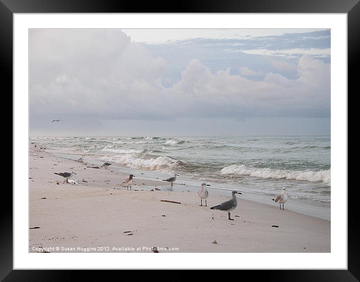 Time for breakfast Framed Mounted Print by Susan Medeiros