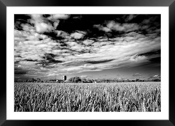 Church in field of Wheat Framed Mounted Print by Stephen Mole