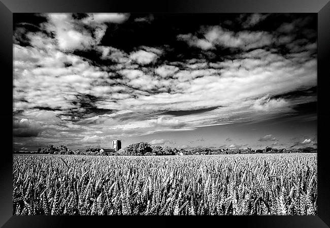 Church in field of Wheat Framed Print by Stephen Mole