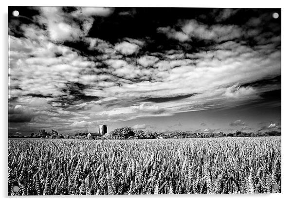 Church in field of Wheat Acrylic by Stephen Mole