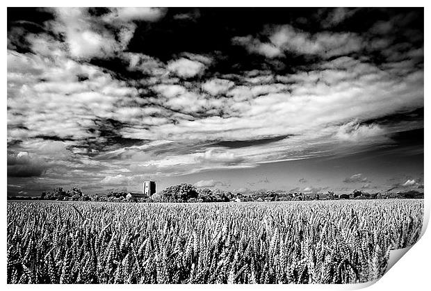 Church in field of Wheat Print by Stephen Mole