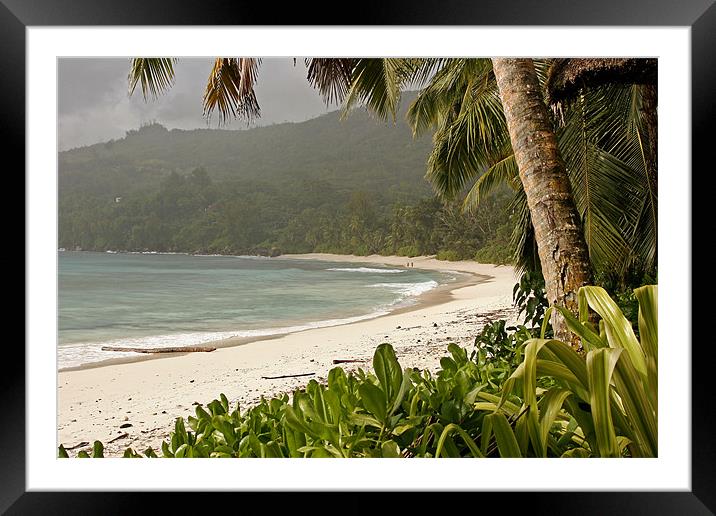 Beach Anse Takamaka Seychelles Framed Mounted Print by peter schickert