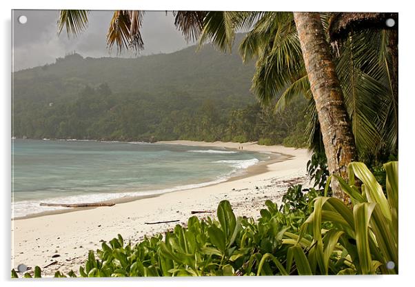 Beach Anse Takamaka Seychelles Acrylic by peter schickert