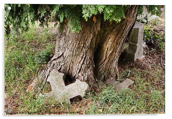 Tree in a Graveyard Acrylic by Ann Garrett