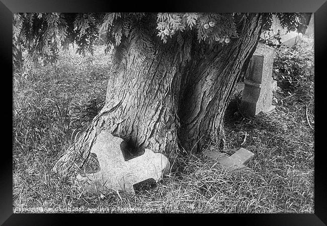 Tree in a Graveyard - Mono Framed Print by Ann Garrett