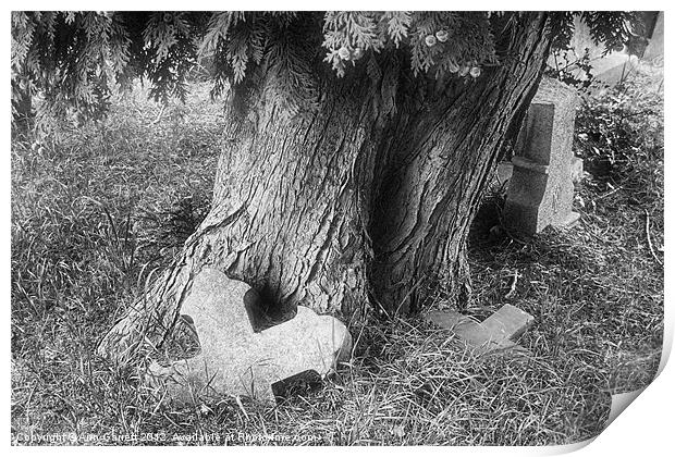 Tree in a Graveyard - Mono Print by Ann Garrett