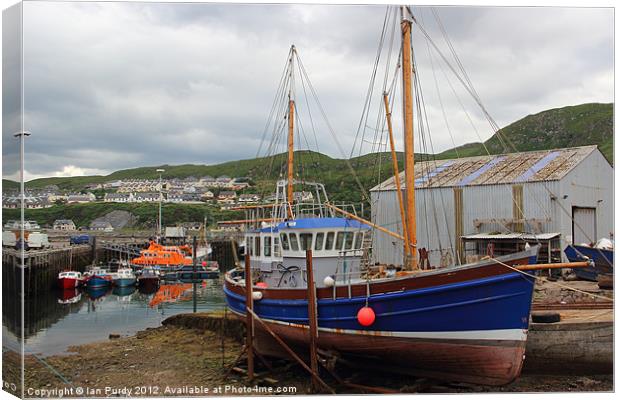 Mallaig dock Scotland Canvas Print by Ian Purdy