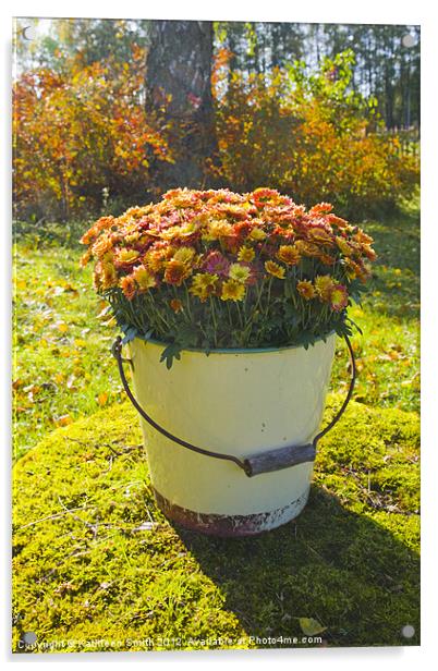 Orange Chrysanthemums in a bucket Acrylic by Kathleen Smith (kbhsphoto)